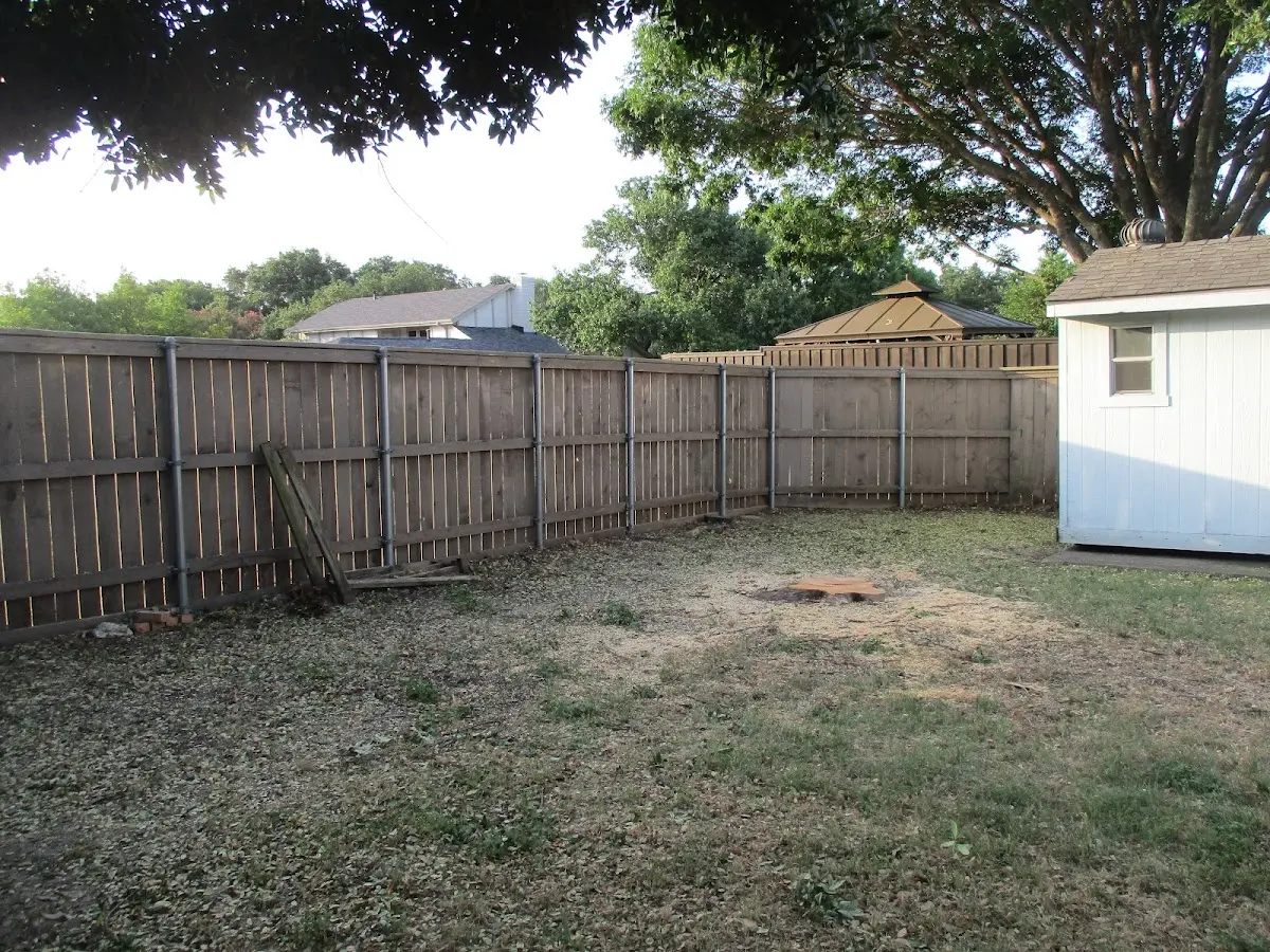 Cleared yard after professional tree removal in Jacks Creek
